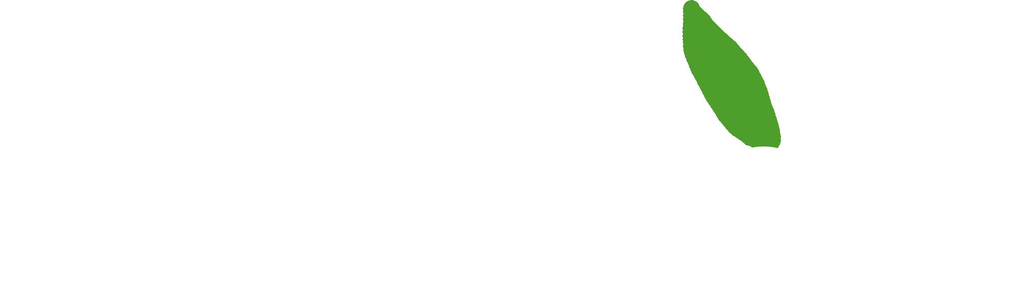 Little Plant Little Plant logo